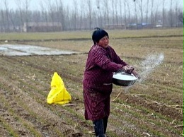 为什么不建议农业种植不止使用大肥？