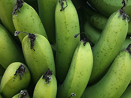 香蕉挂果后遍布的小黑点是什么？